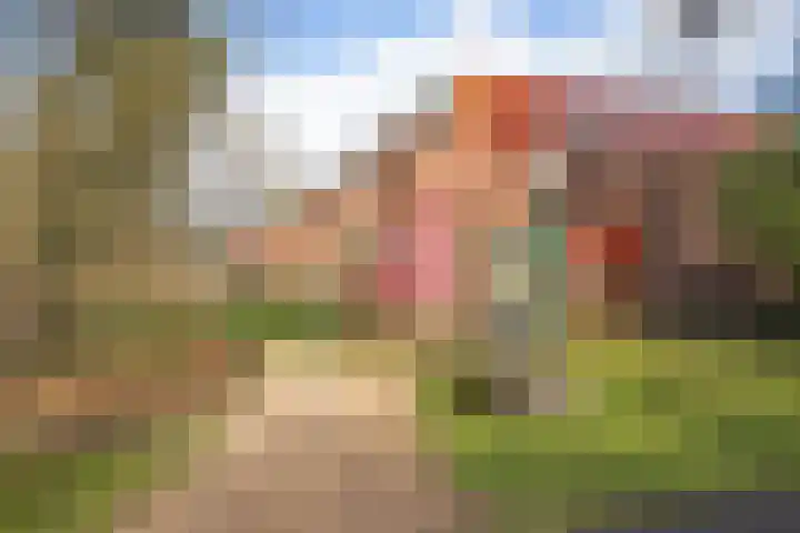 Trompstaete 114 Maarn thumbnail 25