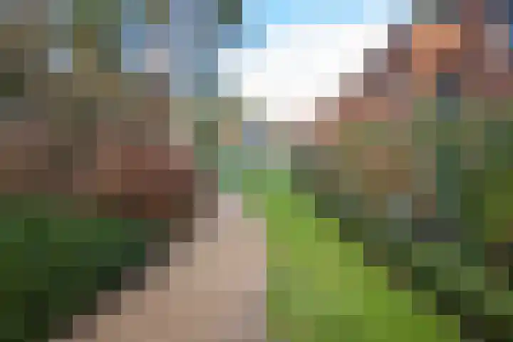 Trompstaete 114 Maarn thumbnail 26