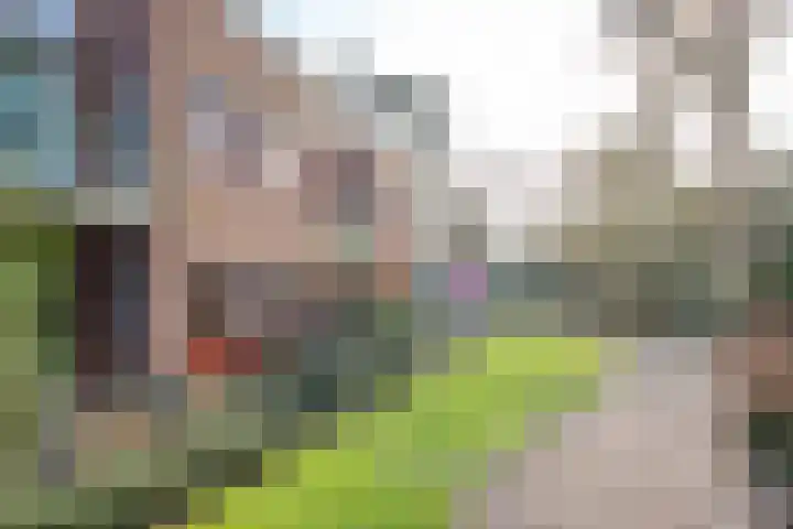 Trompstaete 114 Maarn thumbnail 27