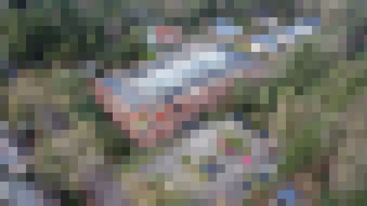 Trompstaete 114 Maarn thumbnail 33