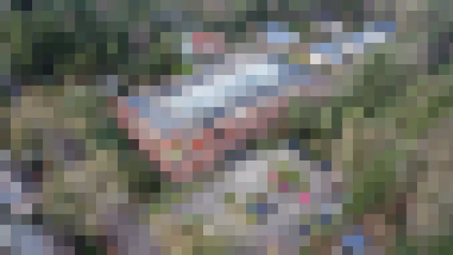 Trompstaete 114 Maarn thumbnail 4