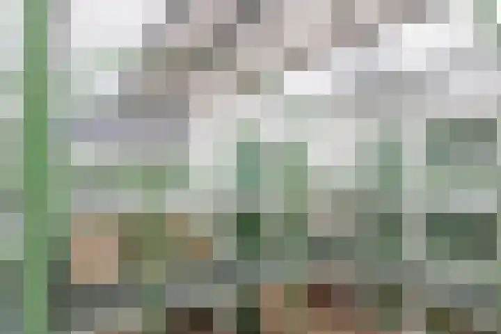 Trompstaete 114 Maarn thumbnail 8