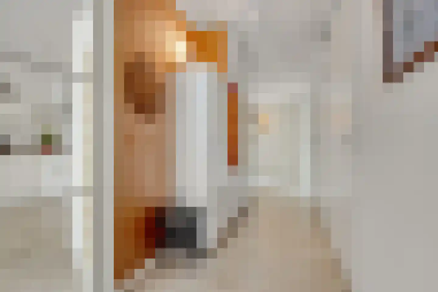 Trompstaete 82 Maarn thumbnail 13
