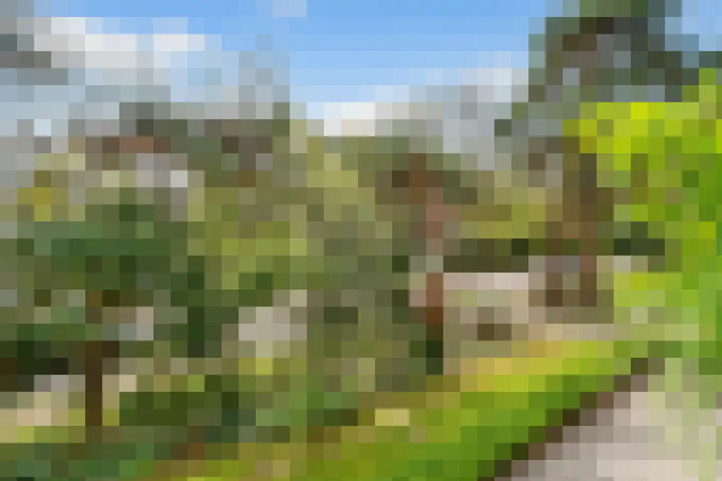 Trompstaete 82 Maarn thumbnail 34