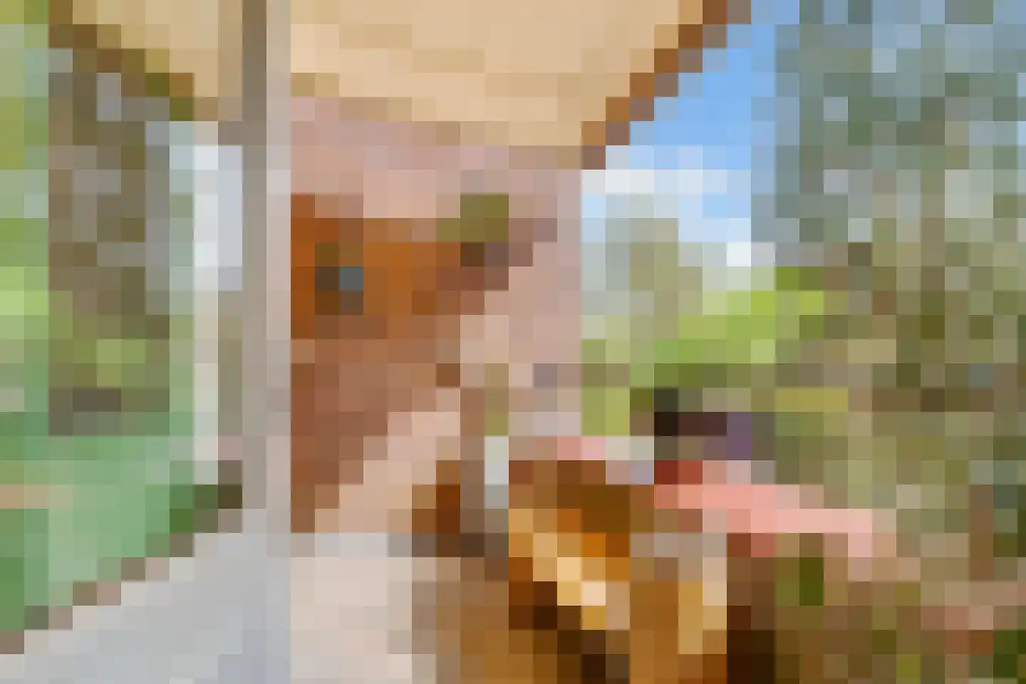 Trompstaete 82 Maarn thumbnail 41