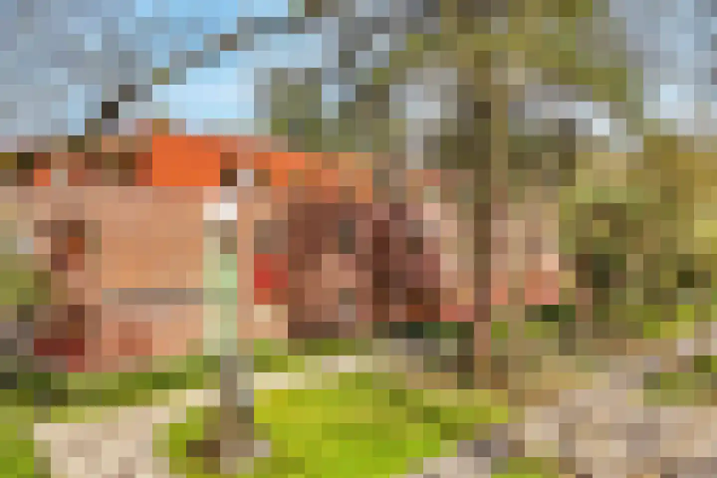 Trompstaete 82 Maarn thumbnail 6