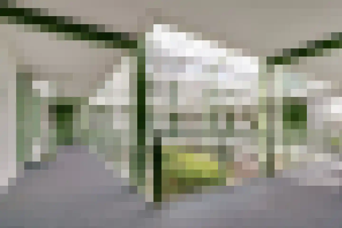 Trompstaete 82 Maarn thumbnail 9