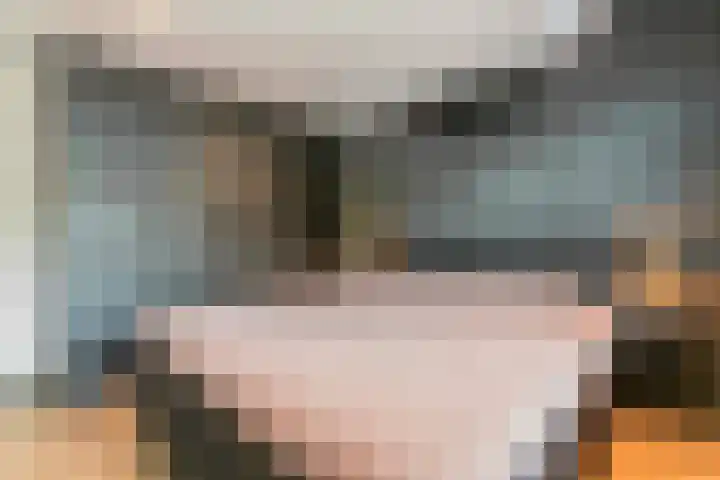 Trompstraat 1 De Meern thumbnail 12