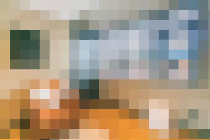 Trompstraat 1 De Meern thumbnail 13