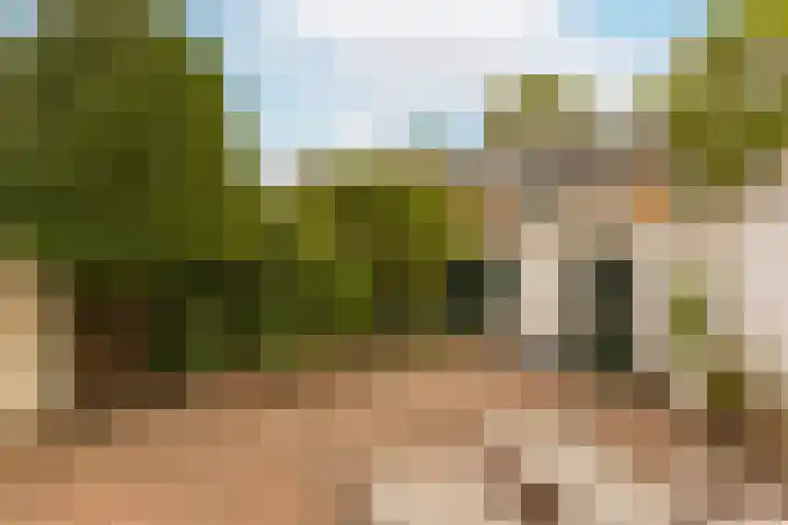 Trompstraat 1 De Meern thumbnail 18