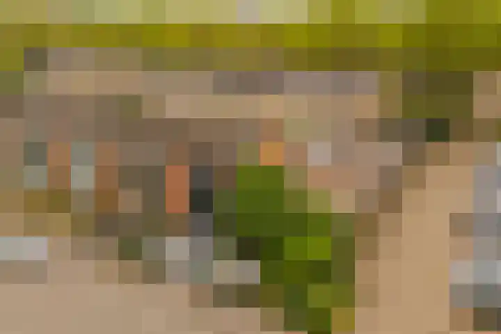 Trompstraat 1 De Meern thumbnail 21