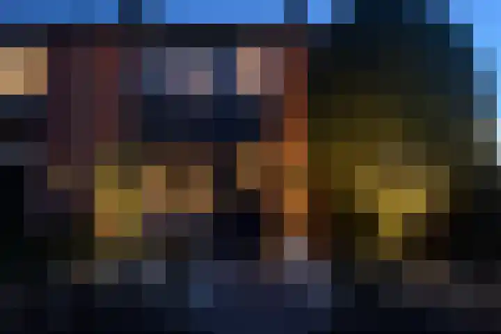 Trompstraat 1 De Meern thumbnail 24