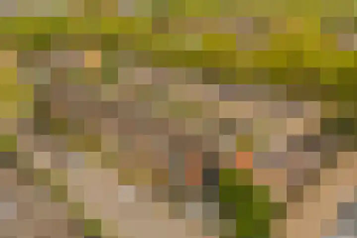 Trompstraat 1 De Meern thumbnail 25