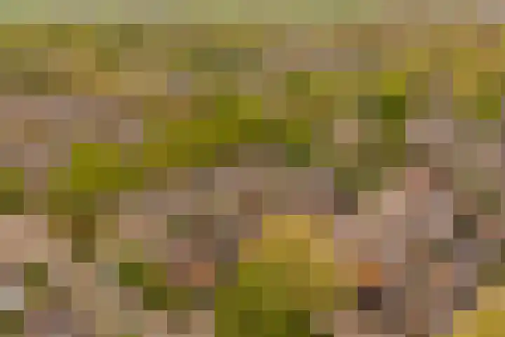 Trompstraat 1 De Meern thumbnail 26