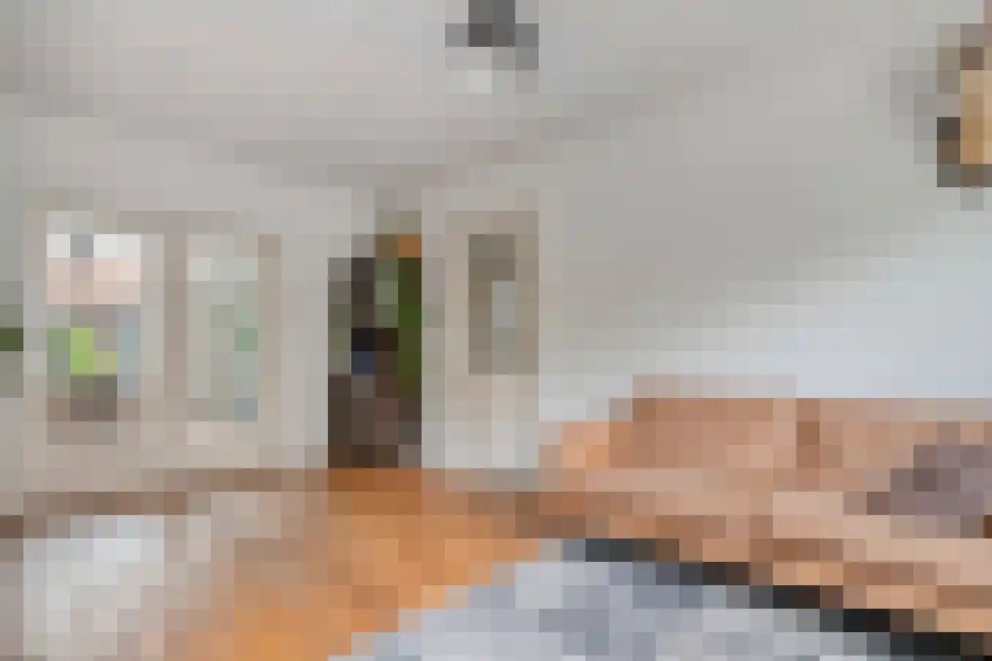 Trompstraat 1 Zwolle thumbnail 12