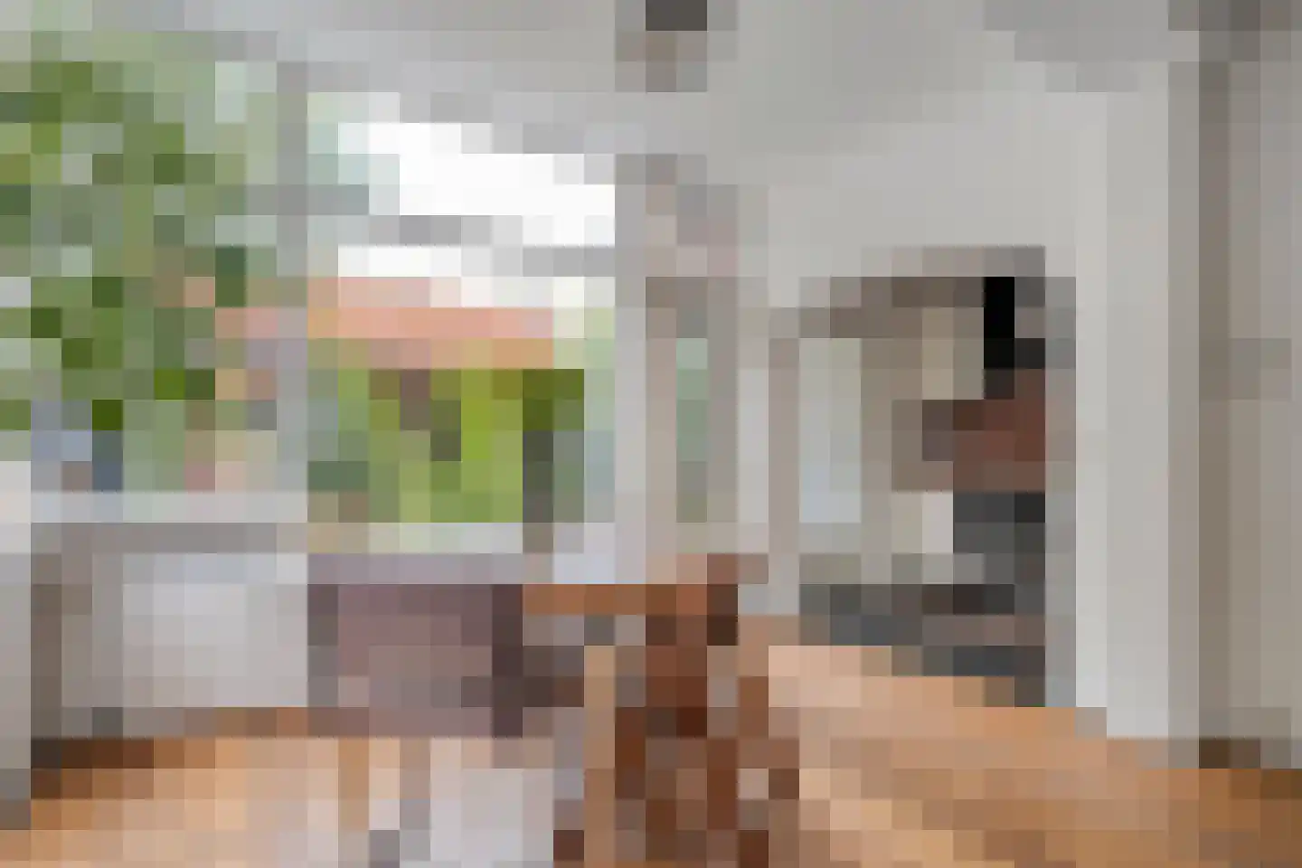 Trompstraat 1 Zwolle thumbnail 18