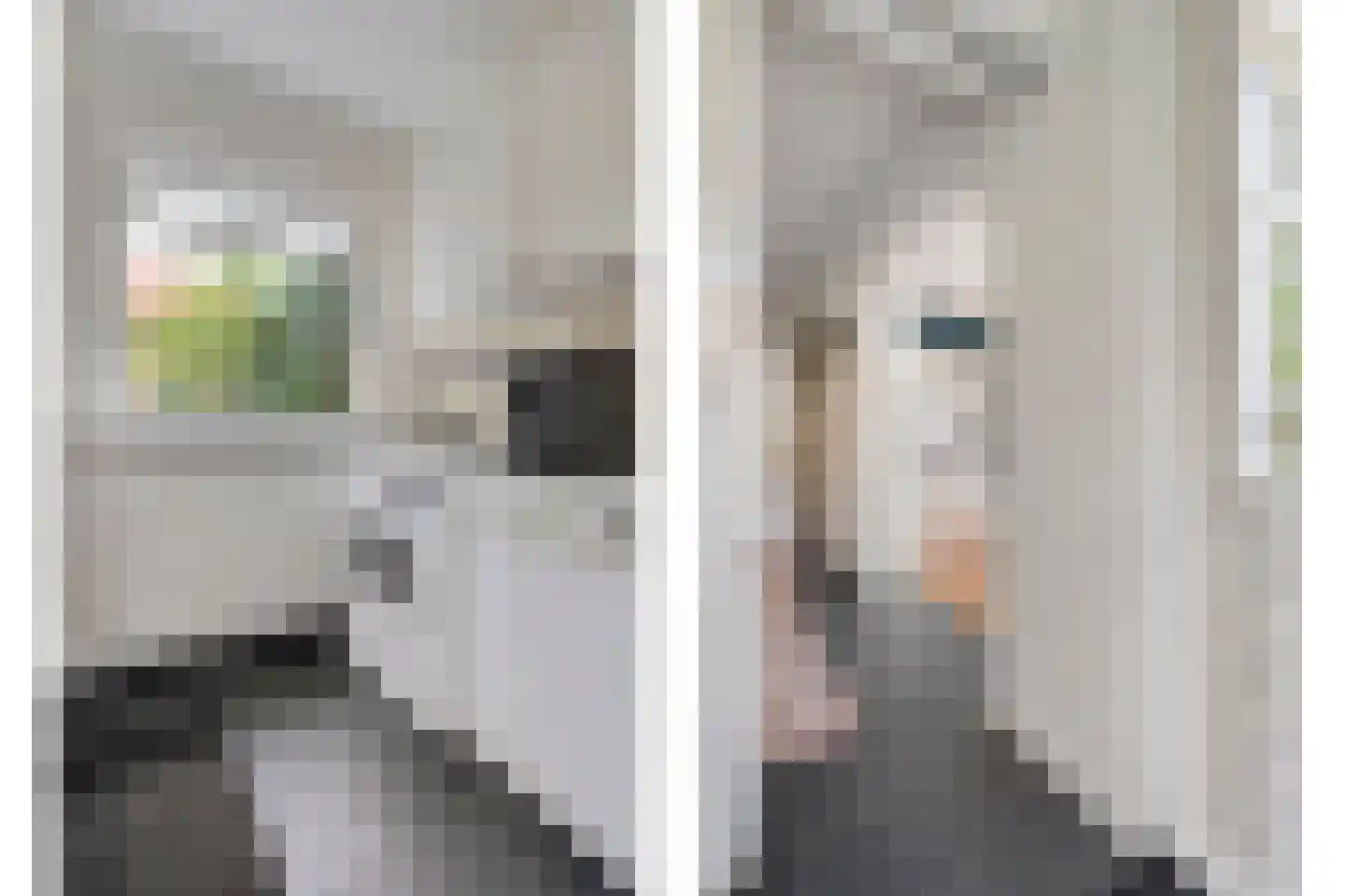 Trompstraat 1 Zwolle thumbnail 22