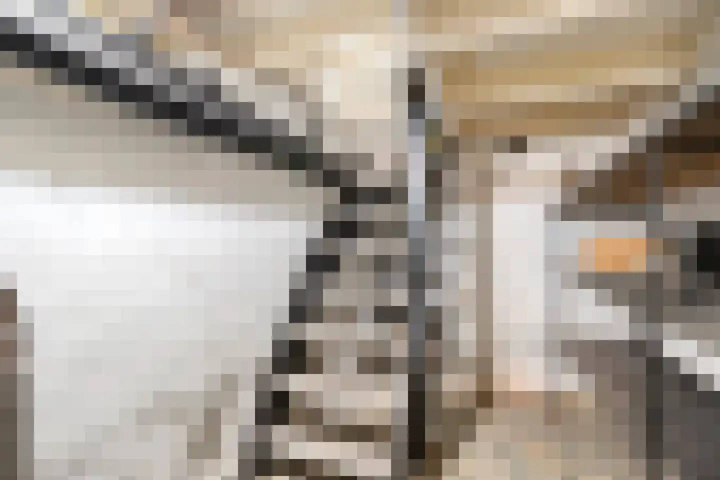 Trompstraat 1 Zwolle thumbnail 23