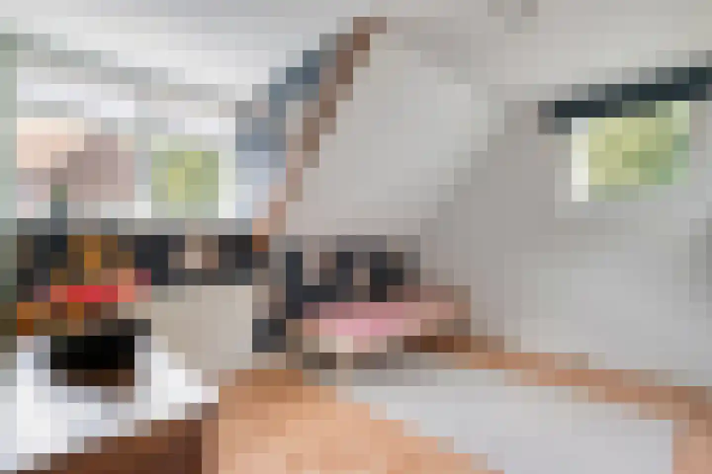 Trompstraat 1 Zwolle thumbnail 26