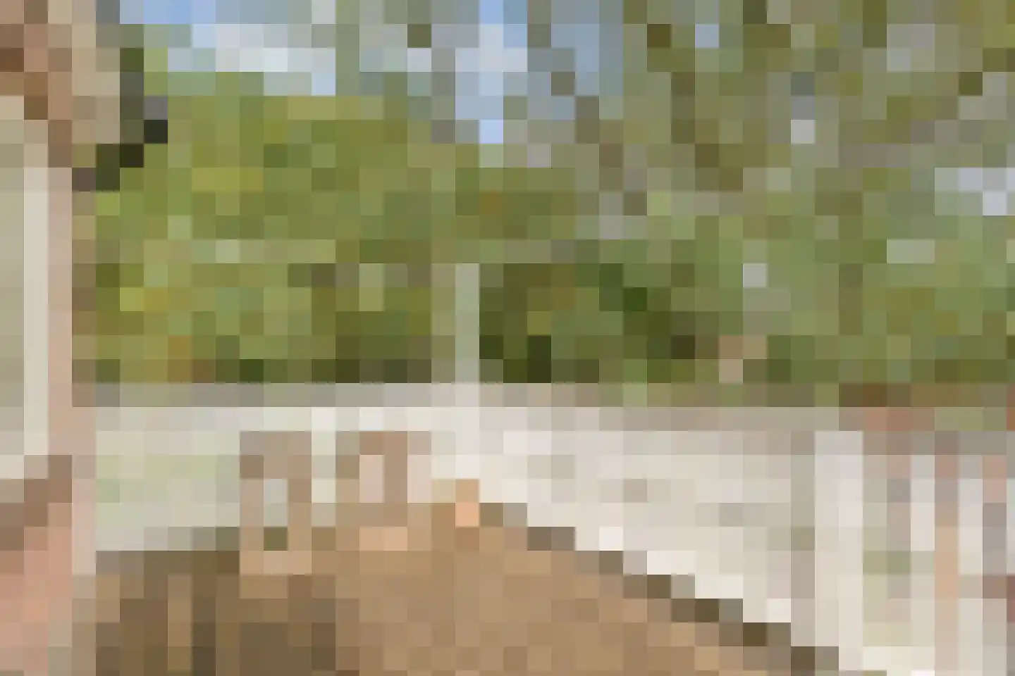 Trompstraat 1 Zwolle thumbnail 32