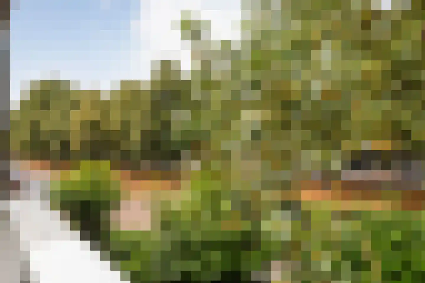 Trompstraat 1 Zwolle thumbnail 34