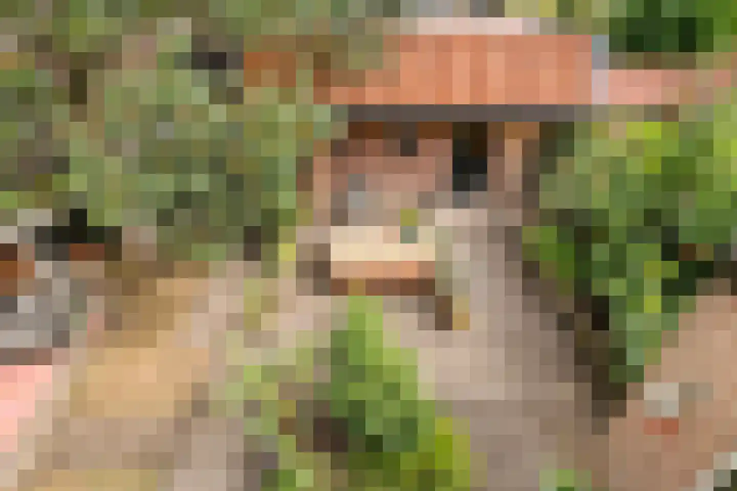 Trompstraat 1 Zwolle thumbnail 35
