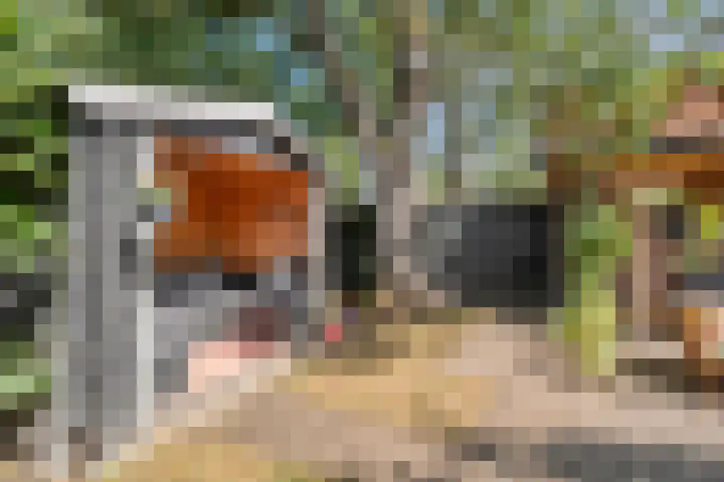 Trompstraat 1 Zwolle thumbnail 43