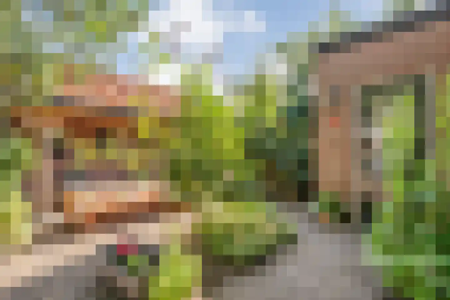 Trompstraat 1 Zwolle thumbnail 44