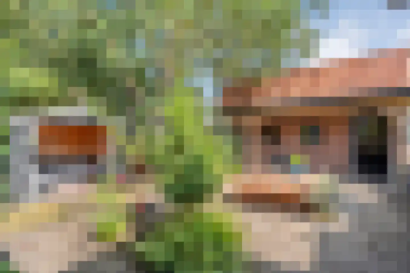 Trompstraat 1 Zwolle thumbnail 47
