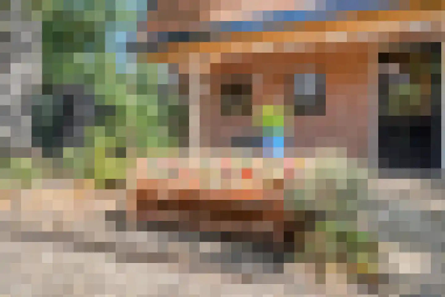 Trompstraat 1 Zwolle thumbnail 48