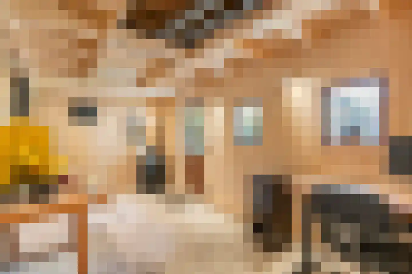 Trompstraat 1 Zwolle thumbnail 50