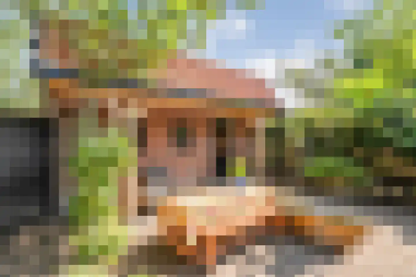 Trompstraat 1 Zwolle thumbnail 54