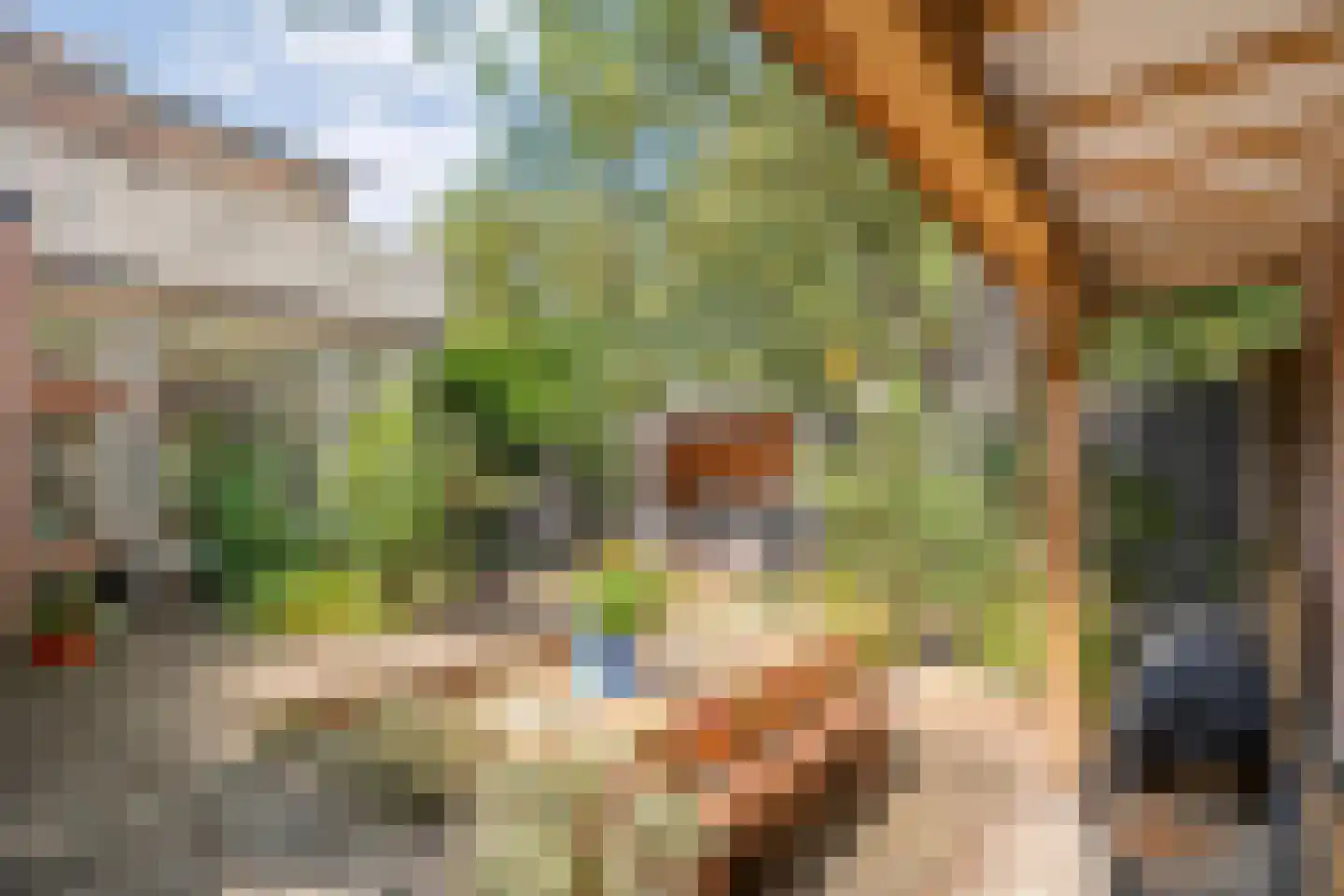 Trompstraat 1 Zwolle thumbnail 55