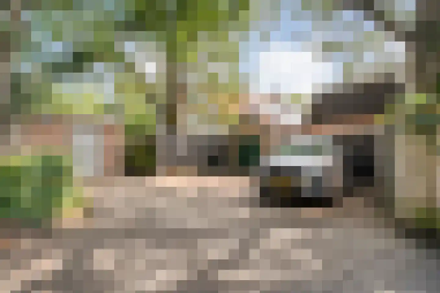 Trompstraat 1 Zwolle thumbnail 59