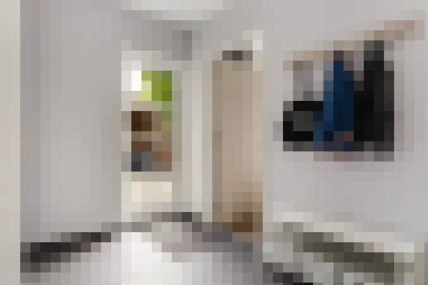 Trompstraat 10 Apeldoorn thumbnail 15
