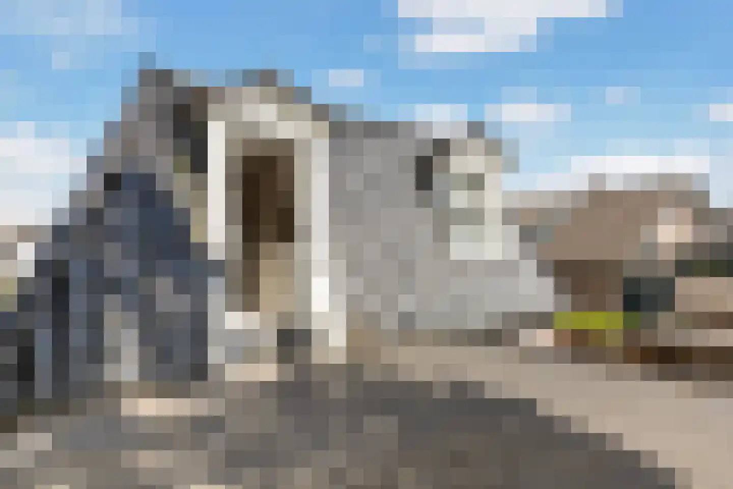 Trompstraat 10 Apeldoorn thumbnail 22