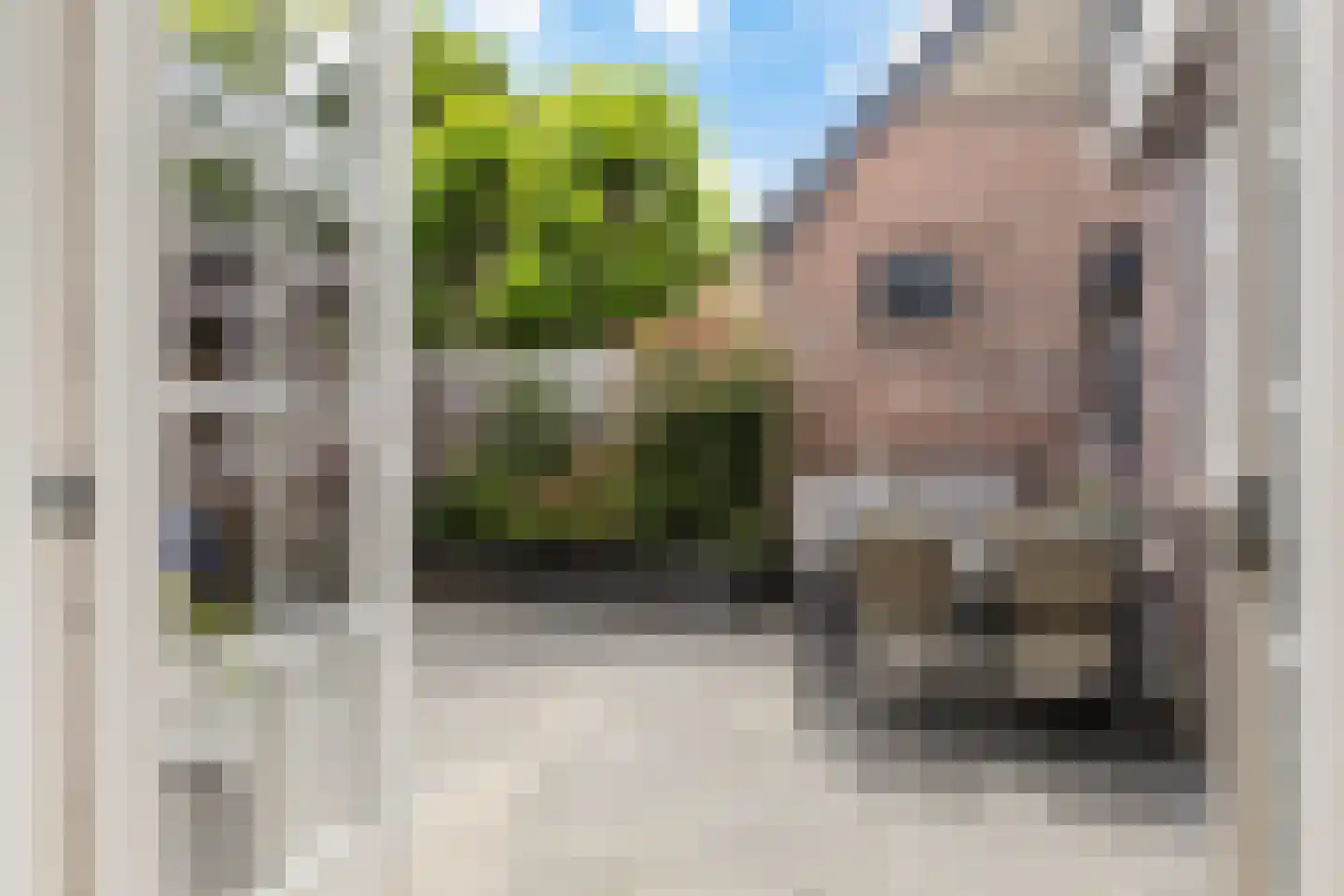 Trompstraat 10 Apeldoorn thumbnail 36