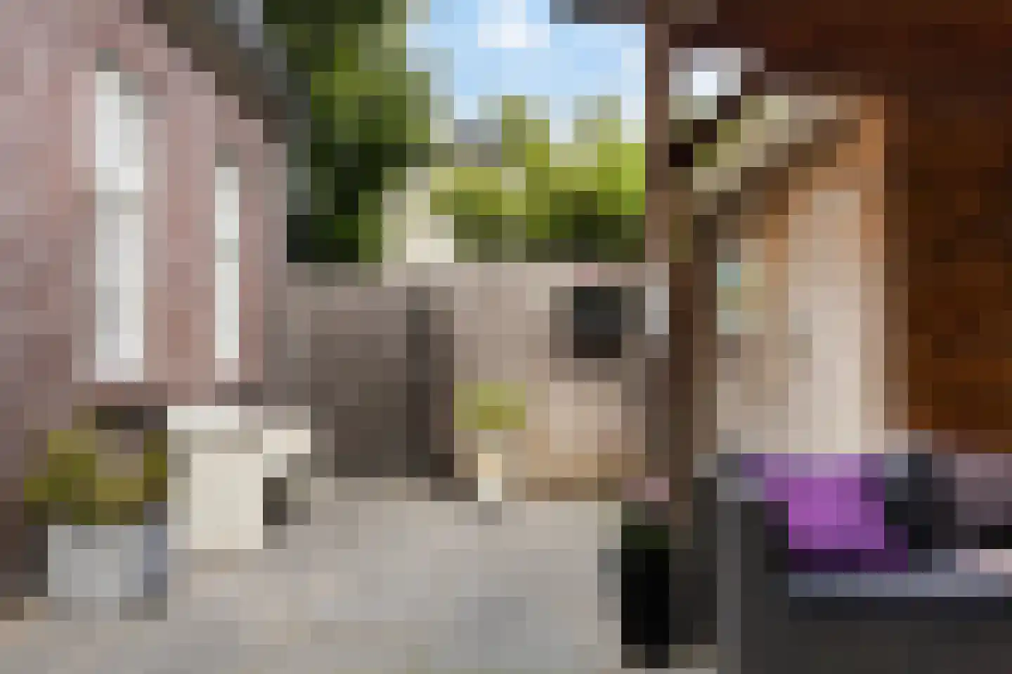 Trompstraat 10 Apeldoorn thumbnail 38