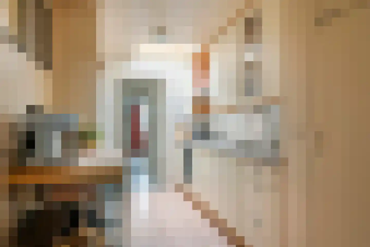 Trompstraat 10 Druten thumbnail 12