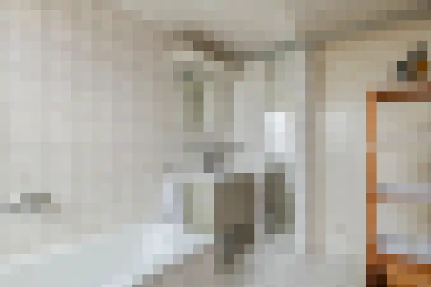 Trompstraat 10 Druten thumbnail 15