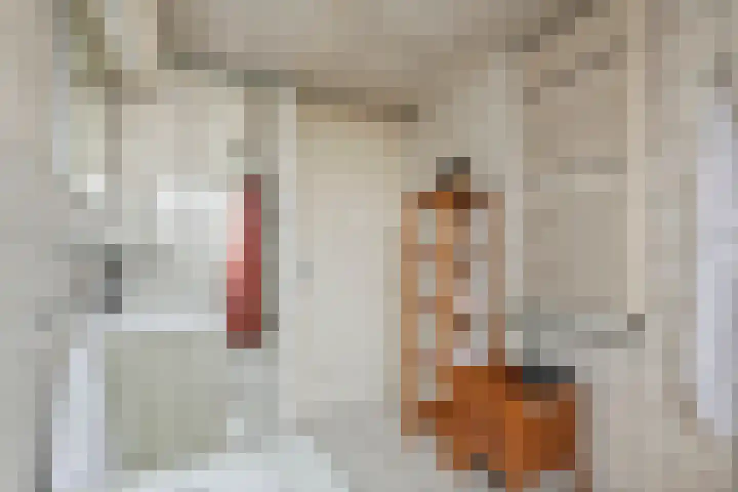 Trompstraat 10 Druten thumbnail 16
