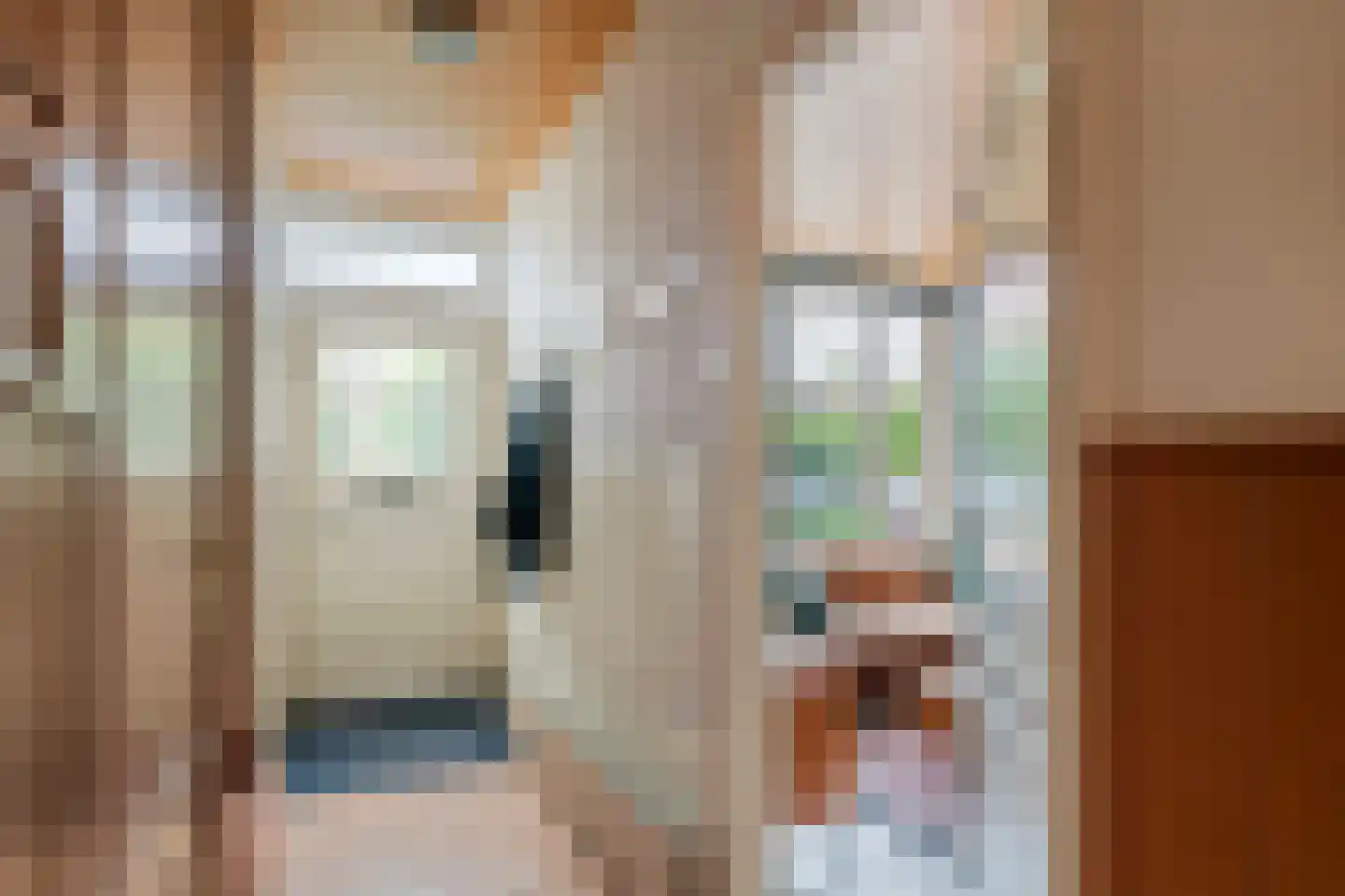 Trompstraat 10 Druten thumbnail 17