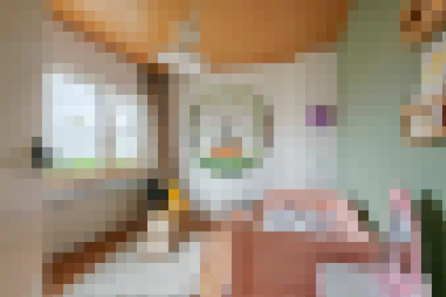 Trompstraat 10 Druten thumbnail 24