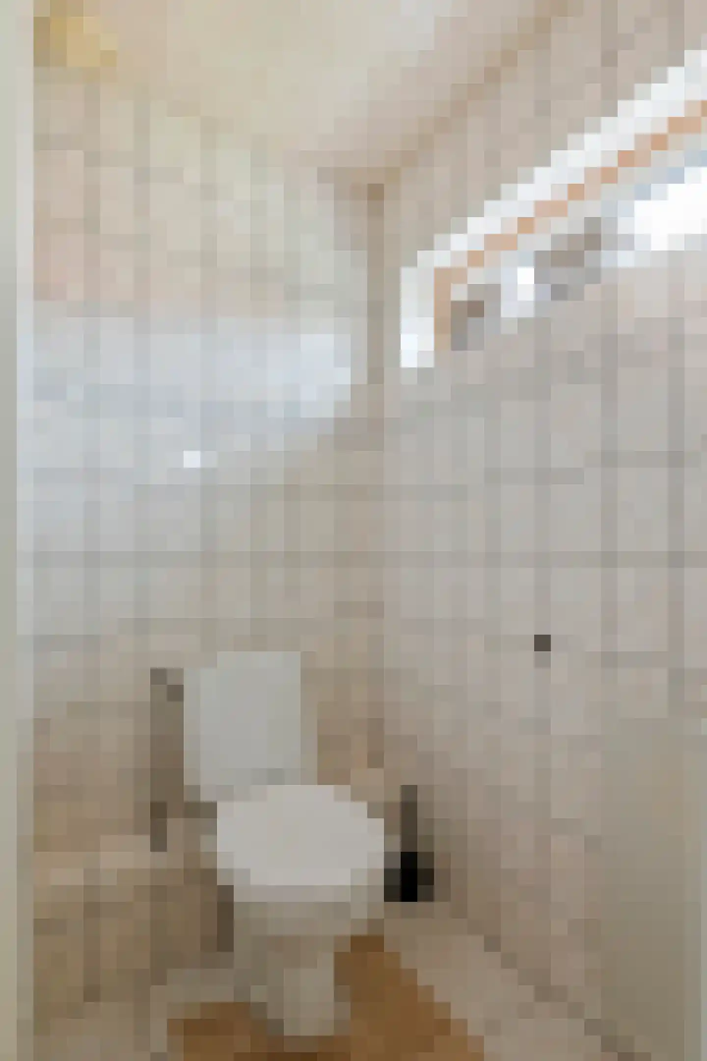 Trompstraat 10 Druten thumbnail 27