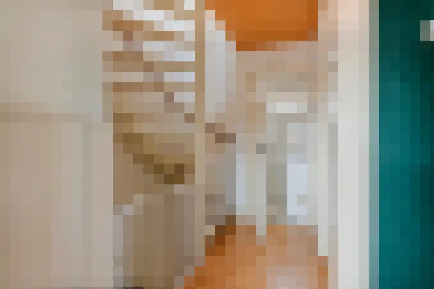 Trompstraat 10 Druten thumbnail 28