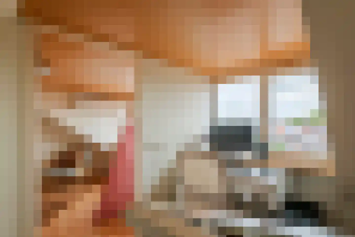 Trompstraat 10 Druten thumbnail 29