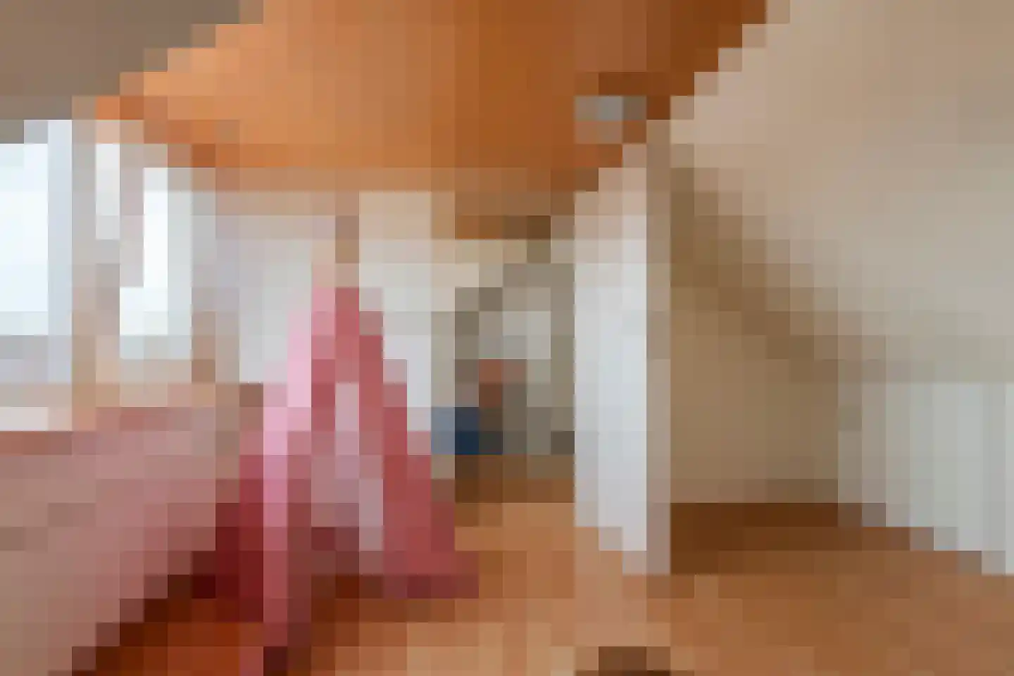 Trompstraat 10 Druten thumbnail 30