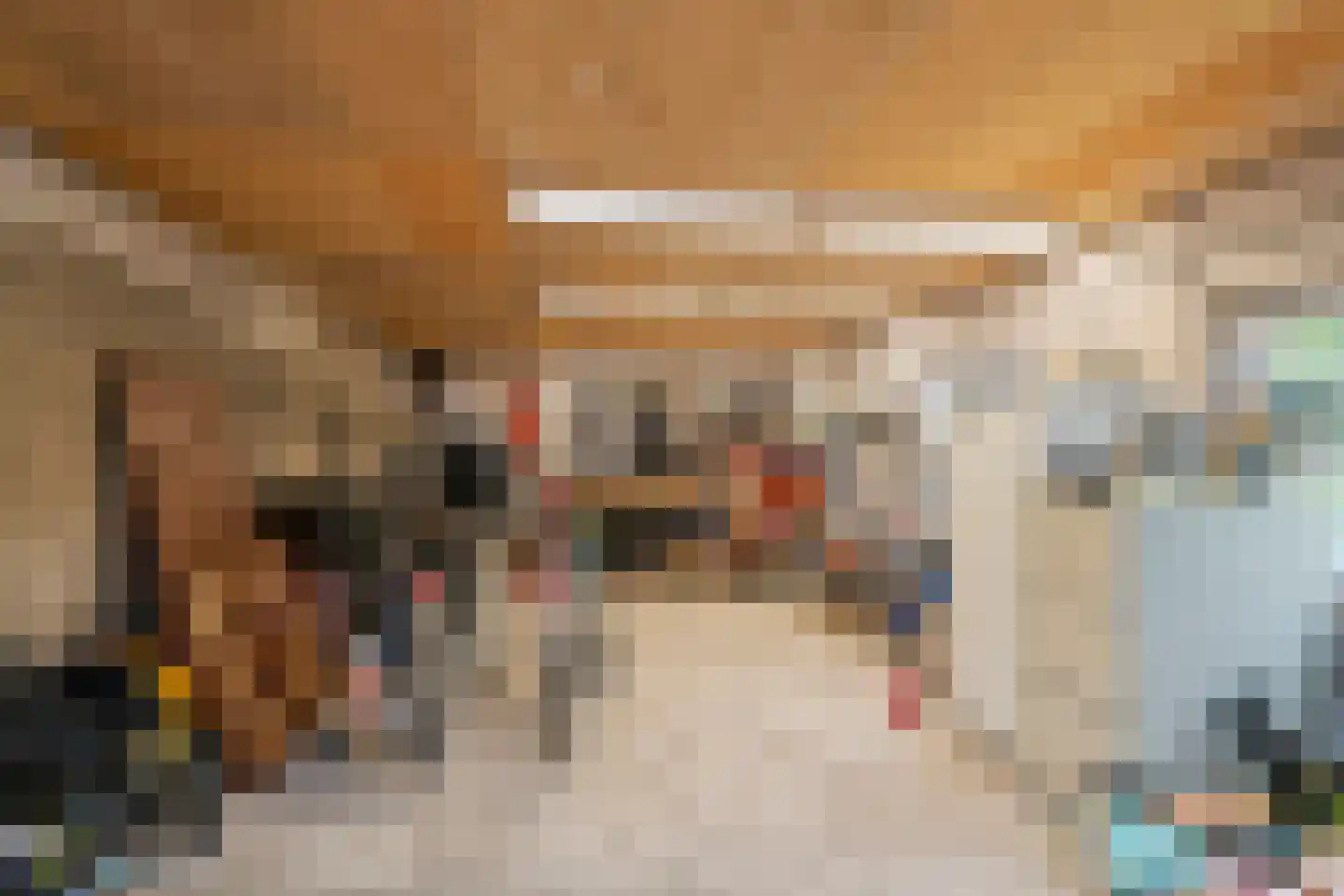 Trompstraat 10 Druten thumbnail 37