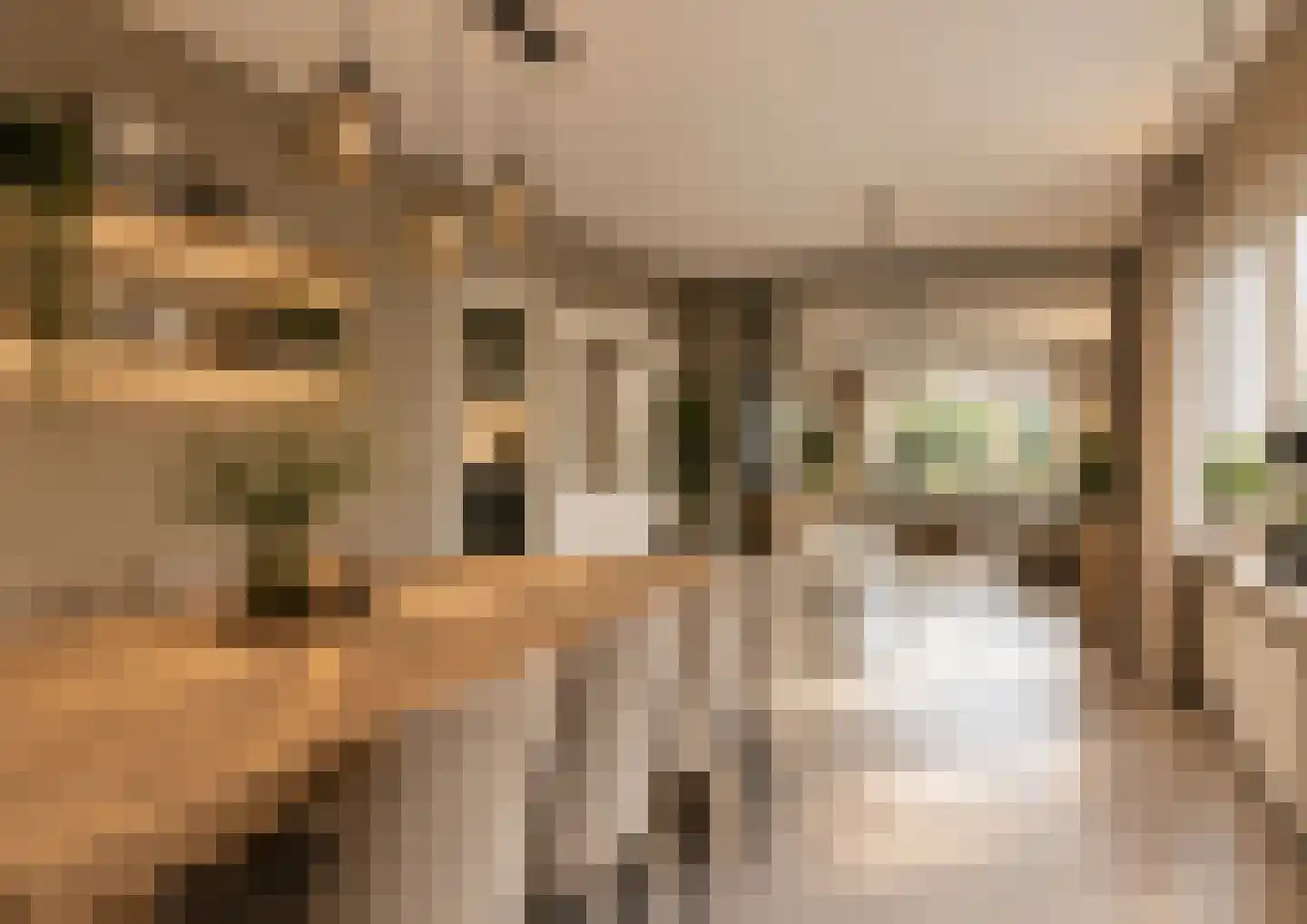 Trompstraat 10 Druten thumbnail 5