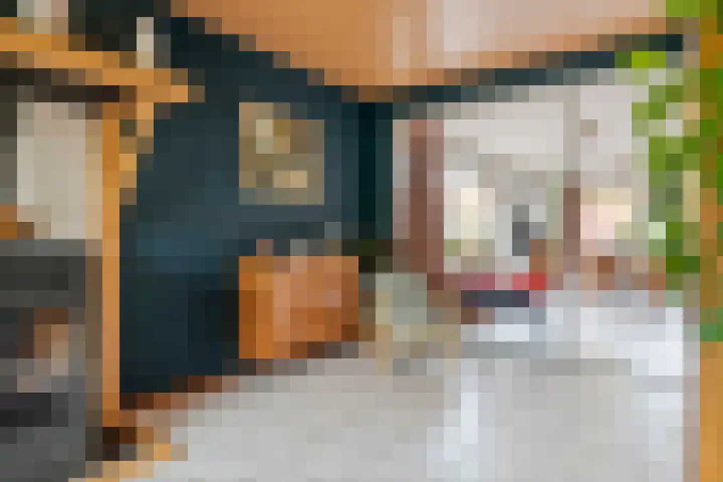 Trompstraat 10 Druten thumbnail 6